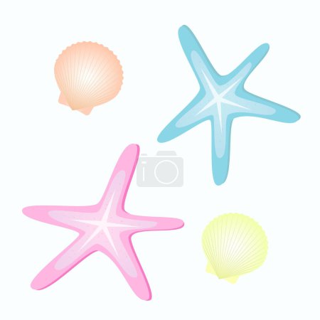 Illustration for Sea stars and seashells. Isolated vector illustration. - Royalty Free Image