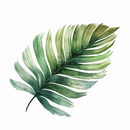 Illustration for Watercolor tropical leaf. Vector leaf. Exotic foliage, wild floral. - Royalty Free Image