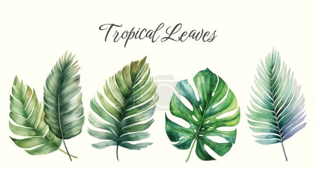 Ilustración de Hojas vectoriales tropicales. Ilustración floral de acuarela. Conjunto de hojas exóticas. Hojas de palmera - Imagen libre de derechos