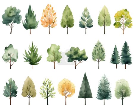 Illustration for Collection of scandi watercolor trees. Trendy scandinavian vector plants. Cute abstract colored trees clipart. - Royalty Free Image