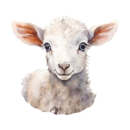 Téléchargez les illustrations : Mignon agneau aquarelle mouton ferme animal isolé sur fond blanc. Illustration vectorielle - en licence libre de droit