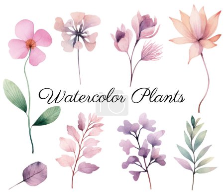 Illustration for Watercolor botanical set. Delicate watercolor plants for wedding invitations, posters. Vector plants pastel colors. - Royalty Free Image