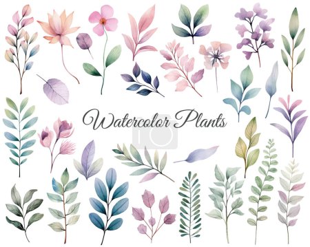 Watercolor botanical set. Delicate watercolor plants for wedding invitations, posters. Vector plants pastel colors.