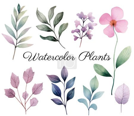 Illustration for Watercolor botanical set. Delicate watercolor plants for wedding invitations, posters. Vector plants pastel colors. - Royalty Free Image