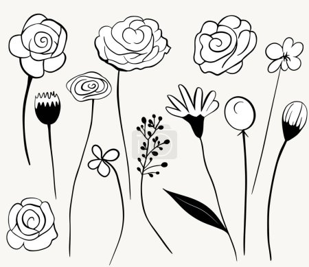 Illustration for Monochrome doodle flowers. Floral elements set. Outline botanical illustration. Hand drawn isolated plants. - Royalty Free Image