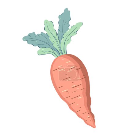 Ilustración de Ilustración de zanahoria aislada sobre fondo blanco. Elemento de primavera dibujado a mano en colores pastel. - Imagen libre de derechos