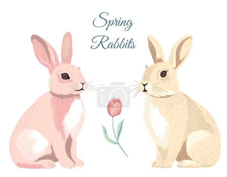 Téléchargez les illustrations : Lapin de Pâques, lapin de Pâques. Illustration vectorielle avec deux lapins. Ensemble de printemps Pâques - en licence libre de droit