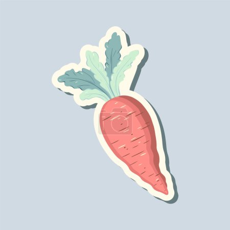 Illustration for Spring sticker carrot. Hand drawn style. Springtime element. Vector seasonal element. - Royalty Free Image
