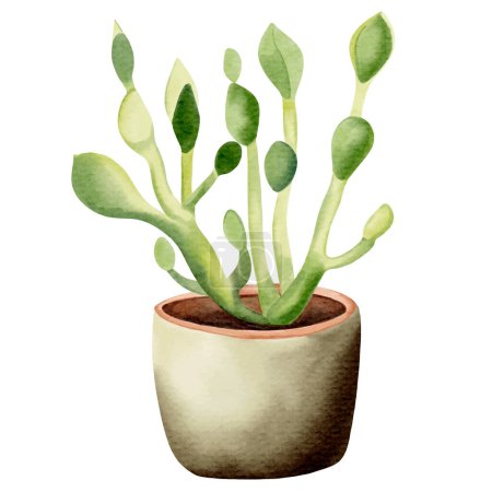 Téléchargez les illustrations : Aquarelle plantes succulentes et de cactus en pot. Pot de fleurs aquarelle isolé sur blanc. Plantes mexicaines - en licence libre de droit