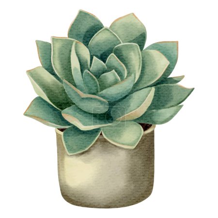 Illustration for Watercolor succulent plant in pot. Watercolor flower pot isolated on white. - Royalty Free Image