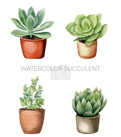 Téléchargez les illustrations : Aquarelle plantes succulentes en pot. Ensemble de pot de fleurs aquarelle isolé sur blanc. Plantes mexicaines - en licence libre de droit