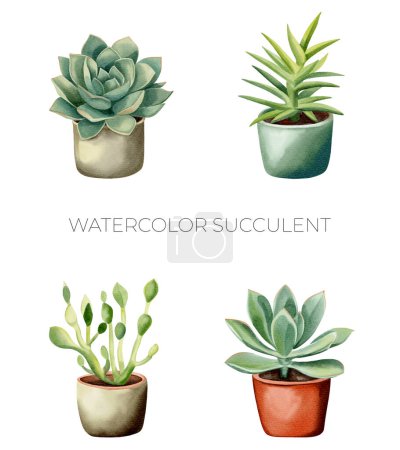 Téléchargez les illustrations : Ensemble de plantes succulentes aquarelle en pot. Plantes mexicaines aquarelle. Pot de truie isolé sur blanc. - en licence libre de droit