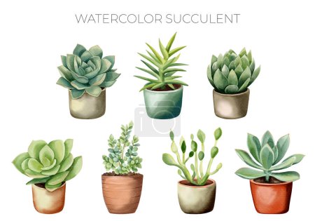 Illustration for Watercolor succulent and cactus plants in pot. Watercolor flower pot isolated on white. Mexican plants - Royalty Free Image