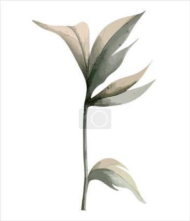 Illustration for Watercolor peony branch. Botanical isolated illustration. Hand painted floral element - Royalty Free Image
