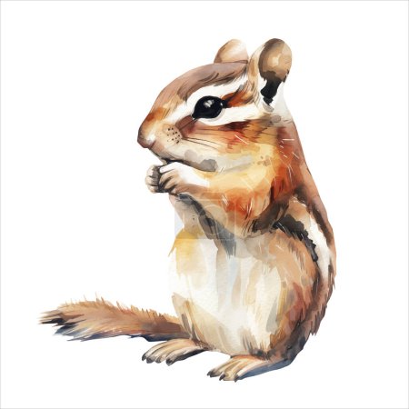 Téléchargez les illustrations : Écureuil aquarelle. Joli petit écureuil dans un style aquarelle. Écureuil dessiné à la main. - en licence libre de droit