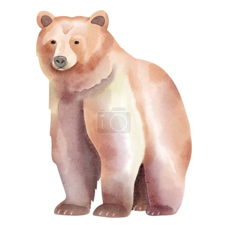 Ilustración de Acuarela oso marrón. Ilustración vectorial con animal oso dibujado a mano. Clip imagen de arte. - Imagen libre de derechos