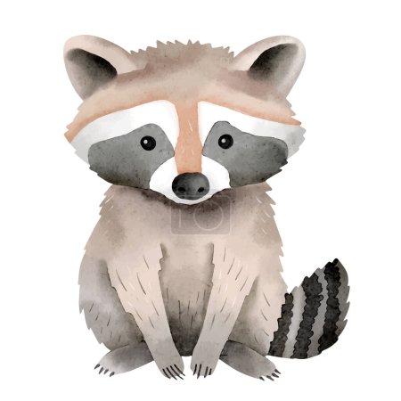 Cute watercolor raccoon. Woodland animals. Watercolor vector baby raccoon