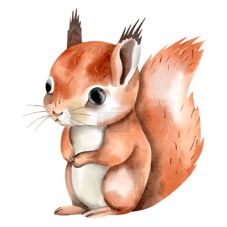 Illustration for Watercolor squirrel. Woodland animals. Hand drawn squirrel. Clip art image. - Royalty Free Image