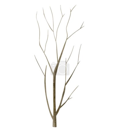 Téléchargez les illustrations : Branche d'arbre aquarelle. Arbre dessiné à la main. Bois aquarelle. Aquarelle élément nature - en licence libre de droit