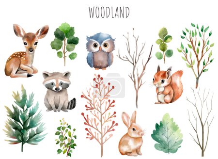 Illustration for Set of wild watercolor forest animals. Green trees and plants. Woodland animals. Deer, owl, hare, squirrel. - Royalty Free Image