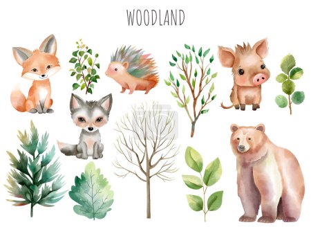 Illustration for Set of wild watercolor forest animals. Green trees and plants. Woodland animals. Bear, fox, boar, hedgehog. - Royalty Free Image