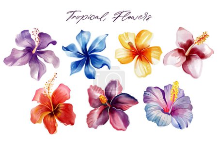 Ilustración de Acuarela flores tropicales. Ilustración floral. Conjunto de flores exóticas. Colección tropical - Imagen libre de derechos