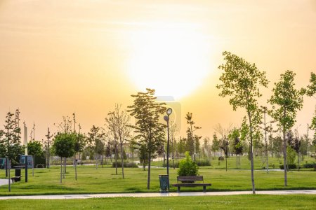 Photo for Background beautiful views of the city park - Royalty Free Image