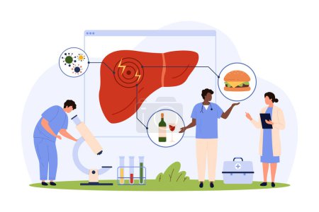 Illustration for Research on liver health and disease. Tiny people warning about liver damage from infection, poisoning from bad diet of alcohol and fastfood, medical infographic chart cartoon vector illustration - Royalty Free Image