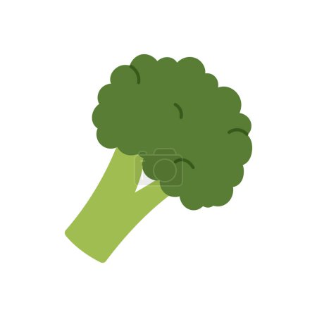 Brocoli, légume vert simple frais pour une alimentation saine en vitamines illustration vectorielle