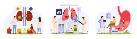 Illustration for Diagnosis of chronic diseases of internal organs by doctors set. Tiny people check kidneys of patient for stones, study inflammation in lungs and human stomach problem cartoon vector illustration - Royalty Free Image