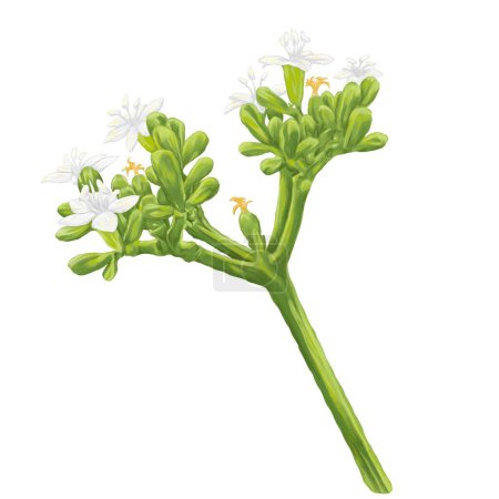 Chaya-Baum-Spinat-Blume digitale Malerei