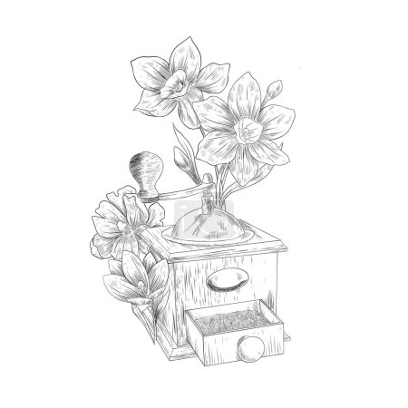 Illustration for Vintage coffee grinder with flower botanical sketch hand drawn - Royalty Free Image