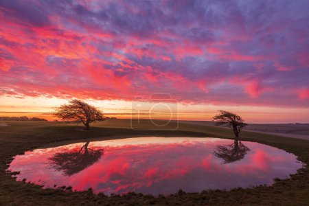 Photo for Vibrant dawn sky reflecting in the Ditchling beacon dew pond on the south downs way east Sussex south east England - Royalty Free Image