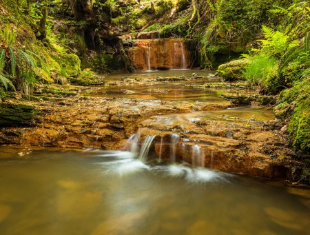 Téléchargez les photos : Petite eau en cascade le long du ruisseau Willingford dans la forêt de Dallington sur le haut weald, East Sussex sud-est de l'Angleterre - en image libre de droit