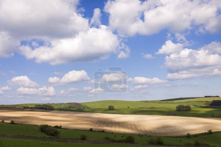 Foto de Hermosas vistas al este sobre los bajos del sur desde las afueras del parque Stamner este Sussex sureste de Inglaterra - Imagen libre de derechos