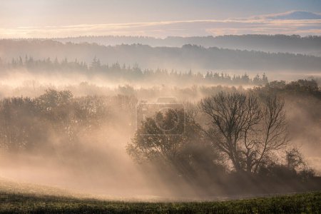 Photo for Misty morning in the vale of Penhurst and Ashburnham on the high weald in east Sussex south east England UK - Royalty Free Image