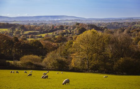 Photo for Autumn morning view over the high weald to the south downs from Herrings lane east Sussex south east England UK - Royalty Free Image