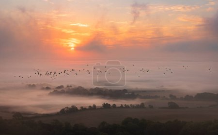 Photo for Misty morning sunrise from Bo Peep hill on the south downs east Sussex south east England UK - Royalty Free Image