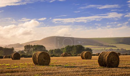 Photo for Firle harvest at the foot of the south downs nestled in the east Sussex countryside south east England UK - Royalty Free Image