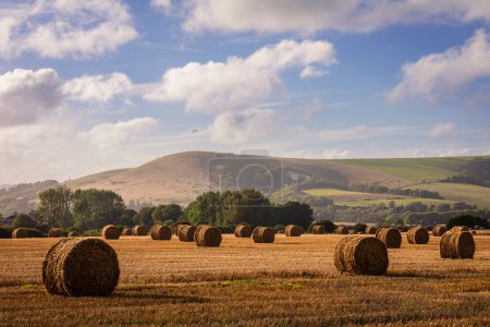 Photo for Firle harvest at the foot of the south downs nestled in the east Sussex countryside south east England UK - Royalty Free Image
