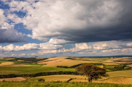 Photo for The wonderful views over the east Sussex countryside and the south downs from Kingston Ridge in south east England UK - Royalty Free Image