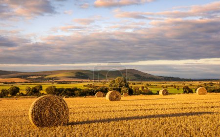 Foto de Rodmell Campos de cebada ubicados en el sur del este de Sussex sur este de Inglaterra Reino Unido - Imagen libre de derechos