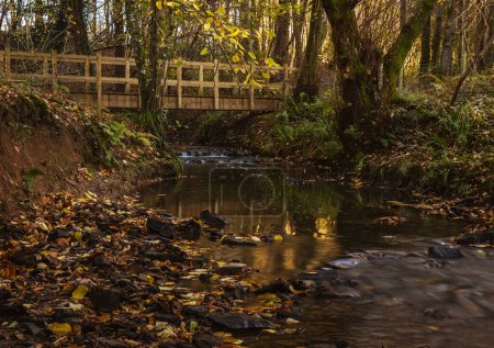 Téléchargez les photos : Passerelle sur la rivière Dudwell dans la vallée entre Three Cups Corner et Burwash Common sur le haut weald dans l'est Sussex sud-est de l'Angleterre Royaume-Uni - en image libre de droit