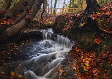 Téléchargez les photos : Ruisseaux sinueux et petites cascades à travers les forêts d'automne sur le haut weald dans l'est Sussex sud-est de l'Angleterre Royaume-Uni - en image libre de droit