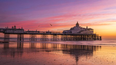 Photo for Colourful February sunrise at low tide Eastbourne Pier East Sussex south east England - Royalty Free Image