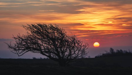 Foto de Salida del sol de invierno sobre la campiña este de Sussex desde Combe Hilll Butts Brow Eastbourne este de Sussex sureste de Inglaterra - Imagen libre de derechos