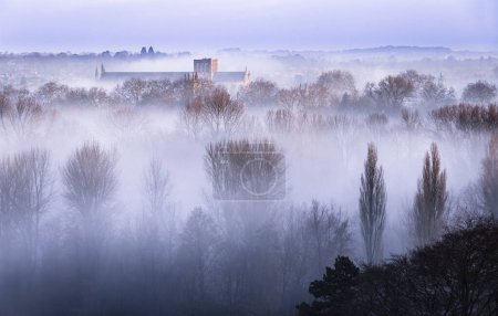 Téléchargez les photos : Brume matinale en février sur la colline Sainte-Catherine dans le Hampshire sud descend le sud-est de l'Angleterre, avec la cathédrale de Winchester s'élevant au-dessus pour attraper la lumière du soleil aube. - en image libre de droit