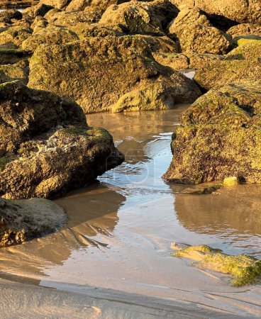 Big stones overgrown with moss on the sea coast