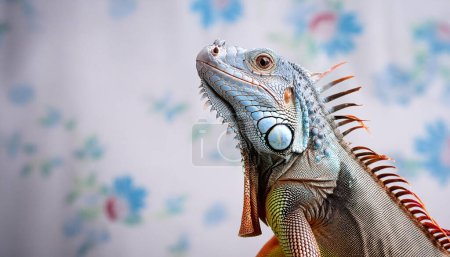 Retrato de iguana azul con textura vívida en el entorno artístico del estudio