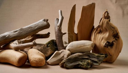 A collection of various shaped and sized driftwood pieces isolated on a white background